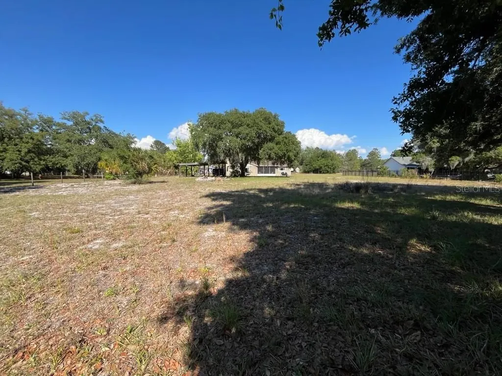 11515 Grovewood Boulevard Land O Lakes FL 34638