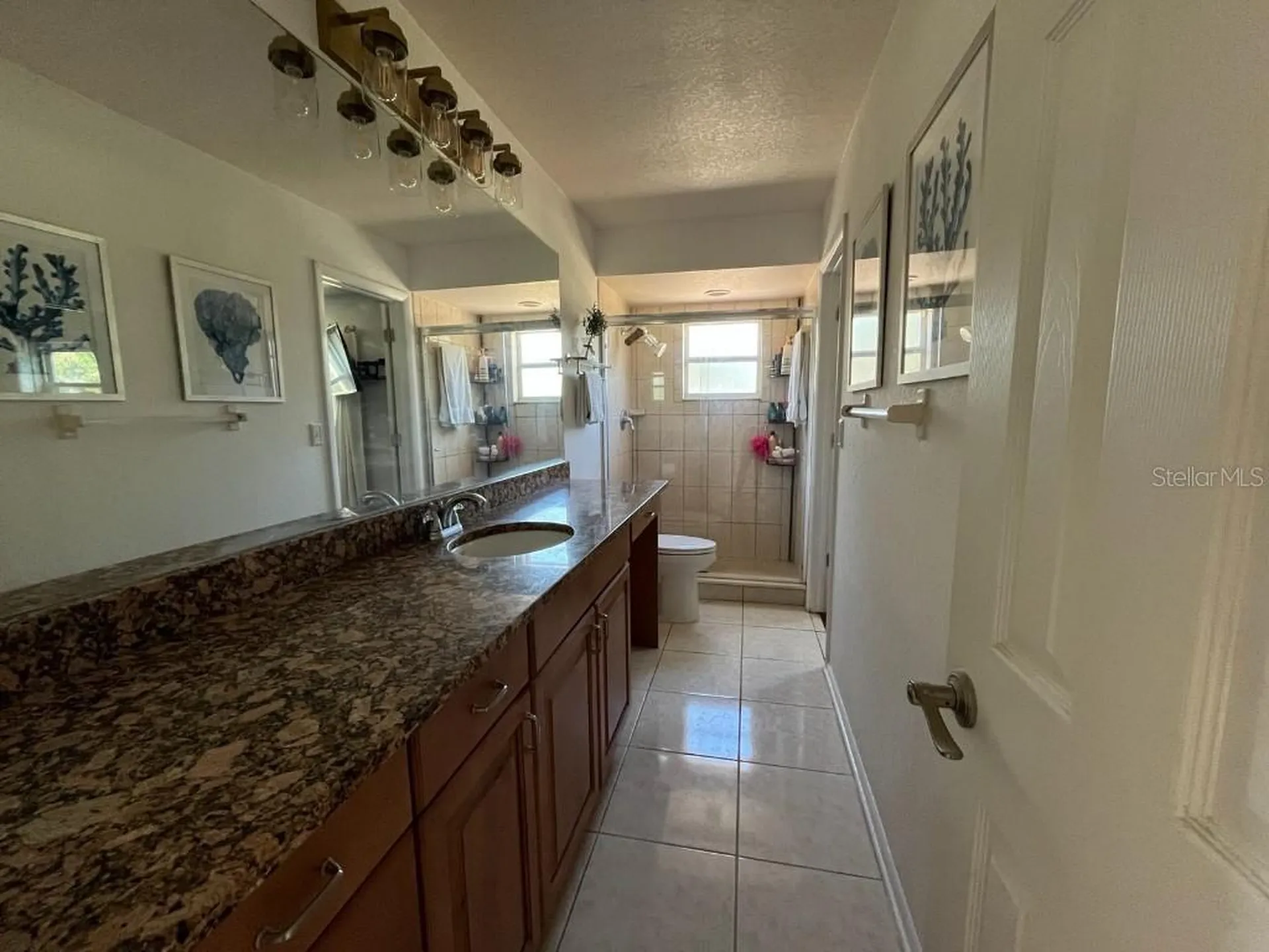 11515 Grovewood Boulevard Land O Lakes FL 34638