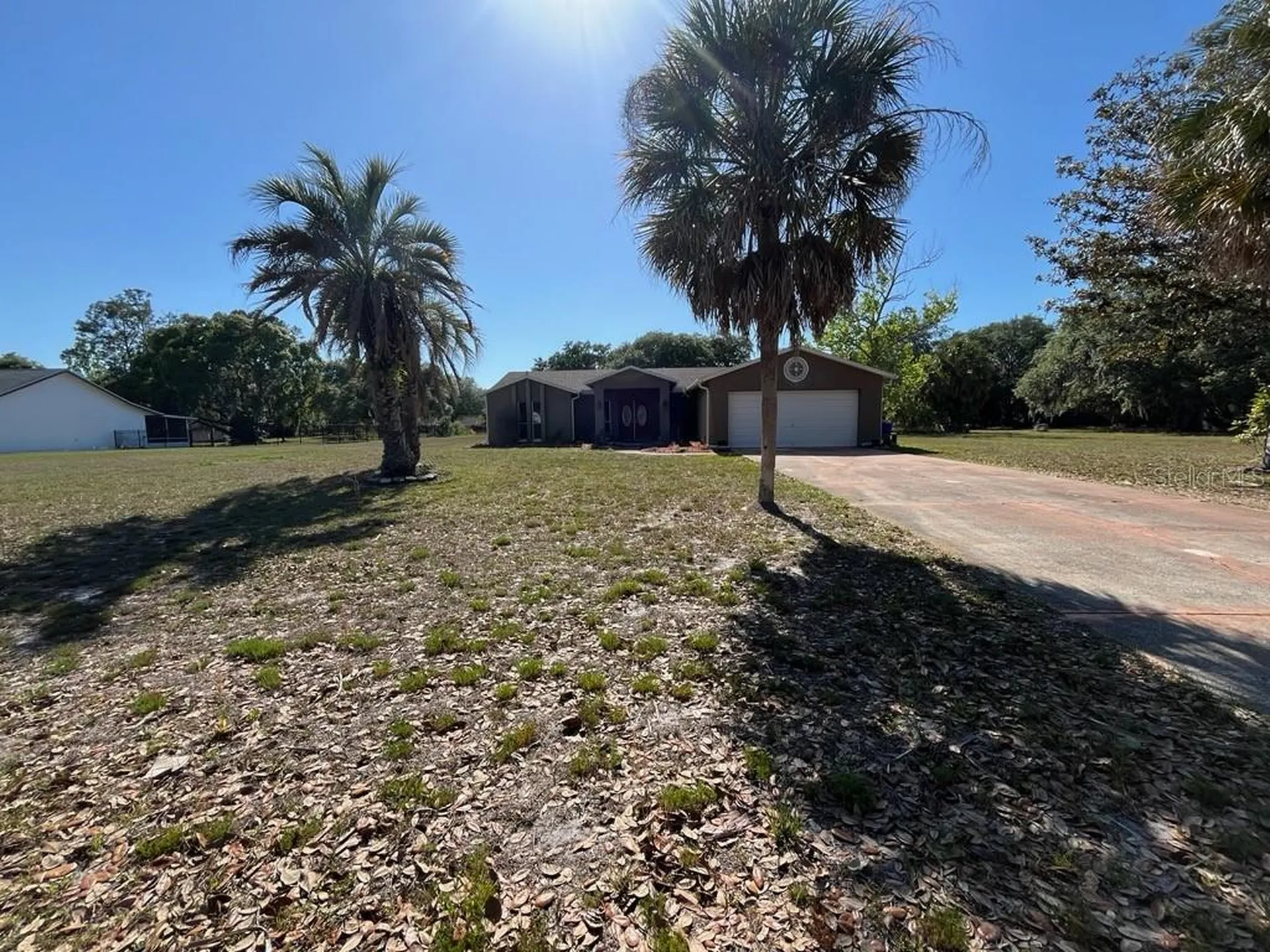 11515 Grovewood Boulevard Land O Lakes FL 34638