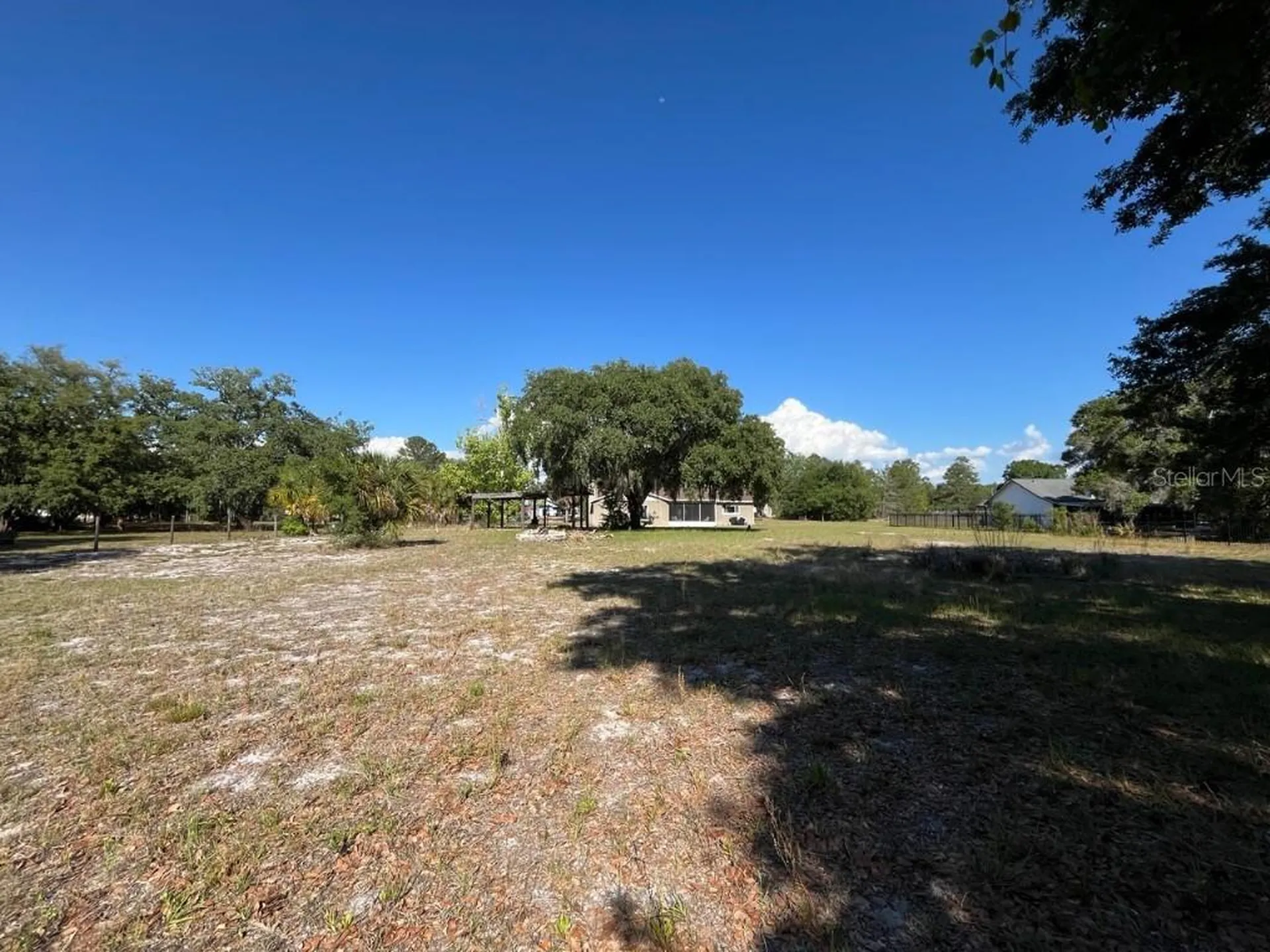 11515 Grovewood Boulevard Land O Lakes FL 34638