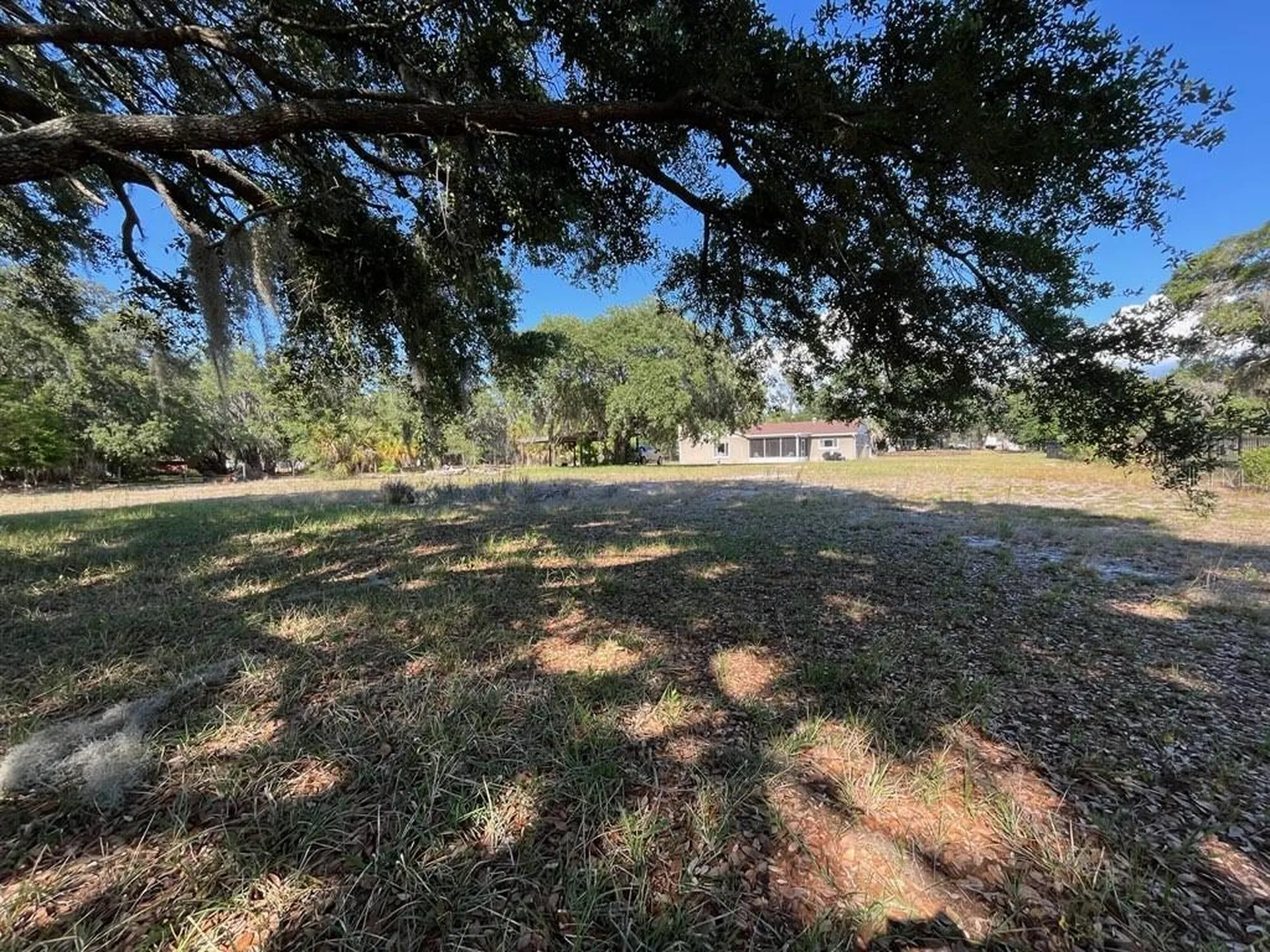 11515 Grovewood Boulevard Land O Lakes FL 34638