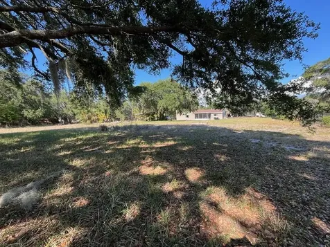 11515 Grovewood Boulevard Land O Lakes FL 34638