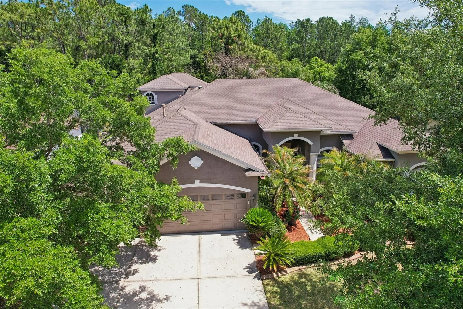 20639 Longleaf Pine Avenue Tampa FL 33647