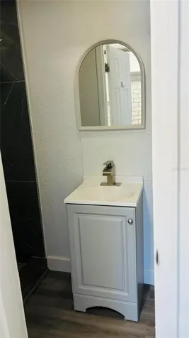 6456 Willow Wood Lane Tampa FL 33634