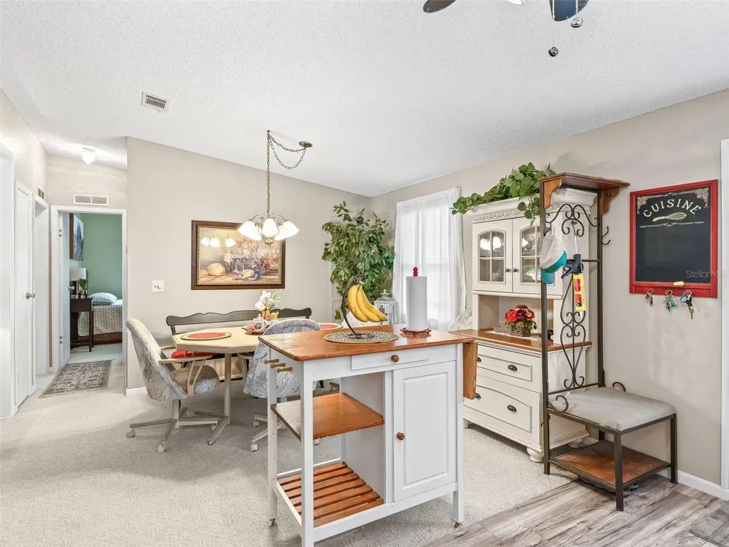 1809 Daffodil Lane The Villages FL 32159