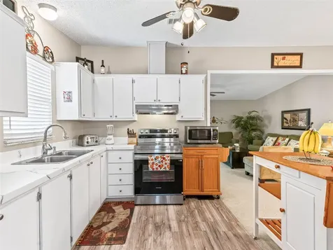 1809 Daffodil Lane The Villages FL 32159