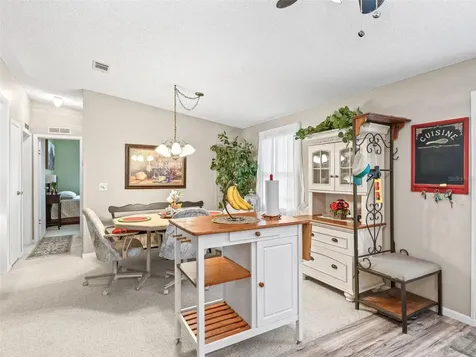 1809 Daffodil Lane The Villages FL 32159