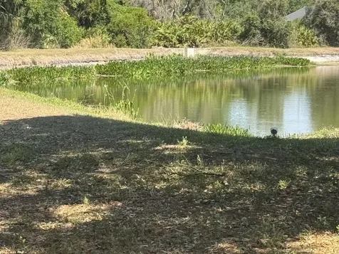 8427 Deer Chase Drive Riverview FL 33578