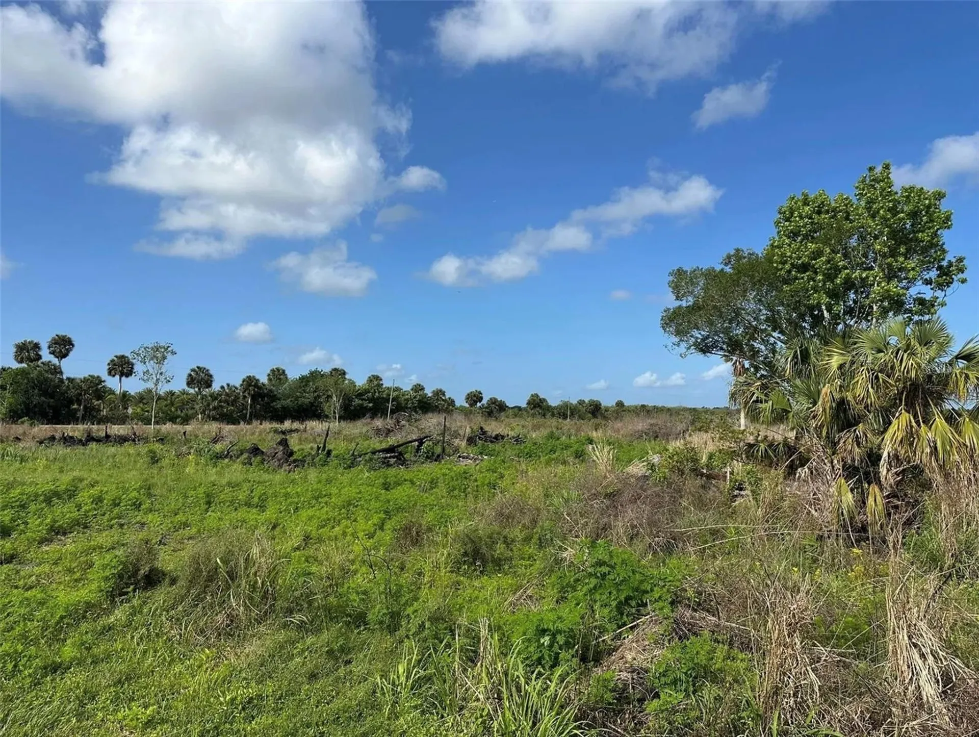 Howard Avenue Oviedo FL 32765
