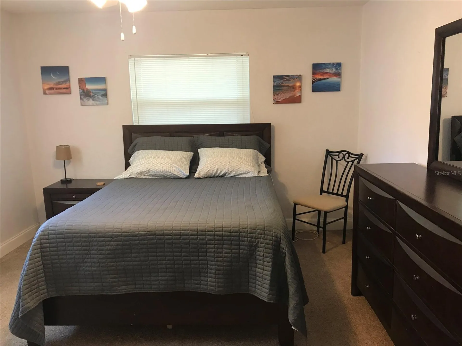 Dunedin FL 34698