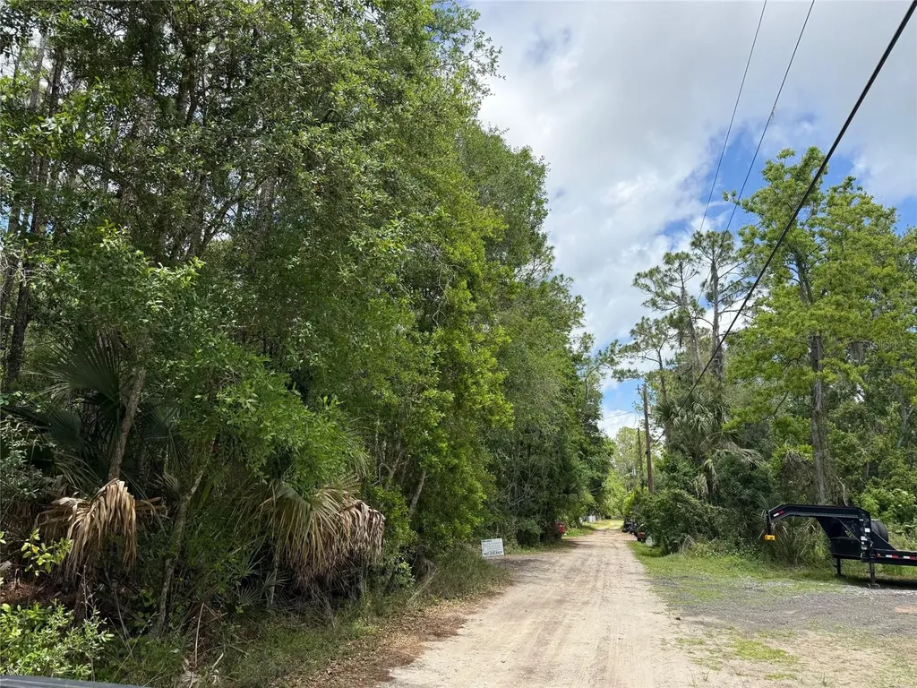 552 Buckshot Avenue Osteen FL 32764
