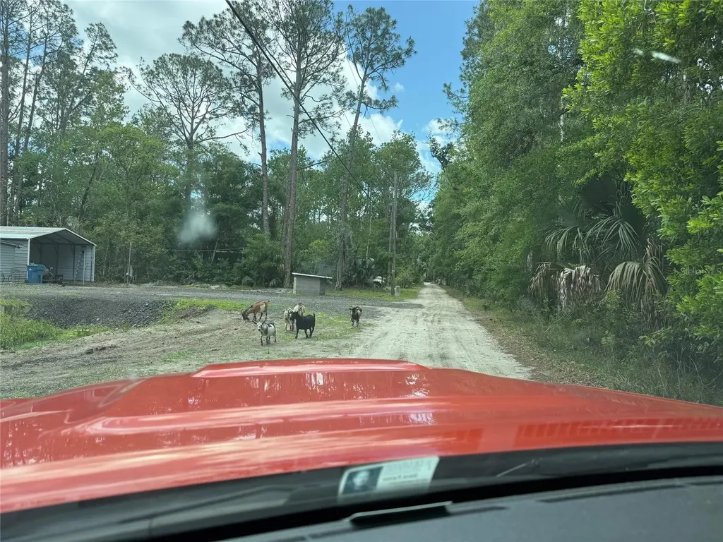 552 Buckshot Avenue Osteen FL 32764