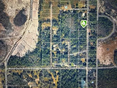 552 Buckshot Avenue Osteen FL 32764