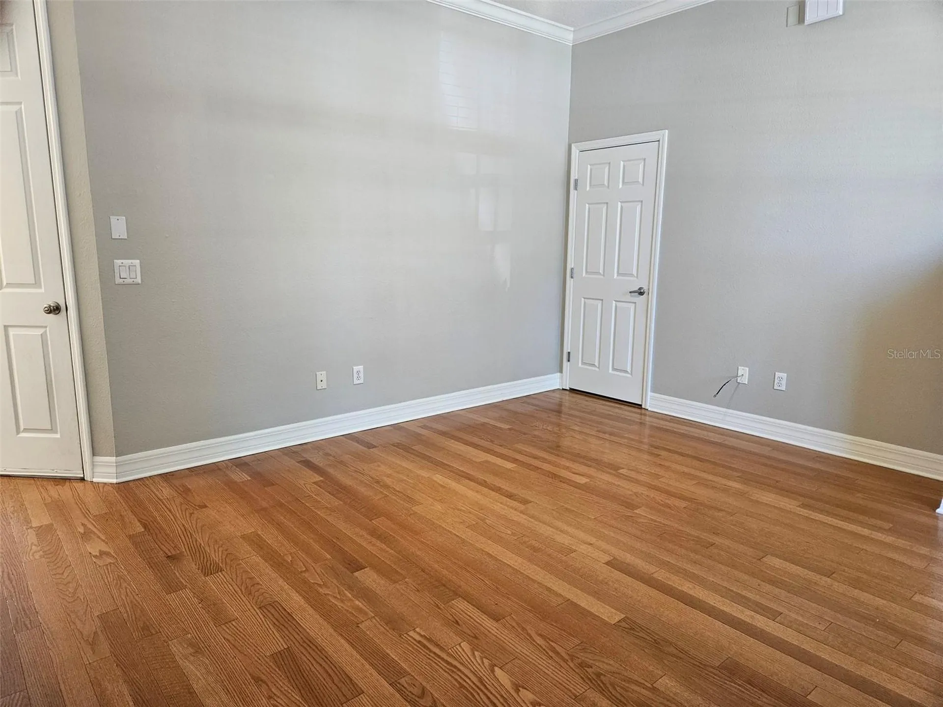 1005 Edison Park Court Tampa FL 33606