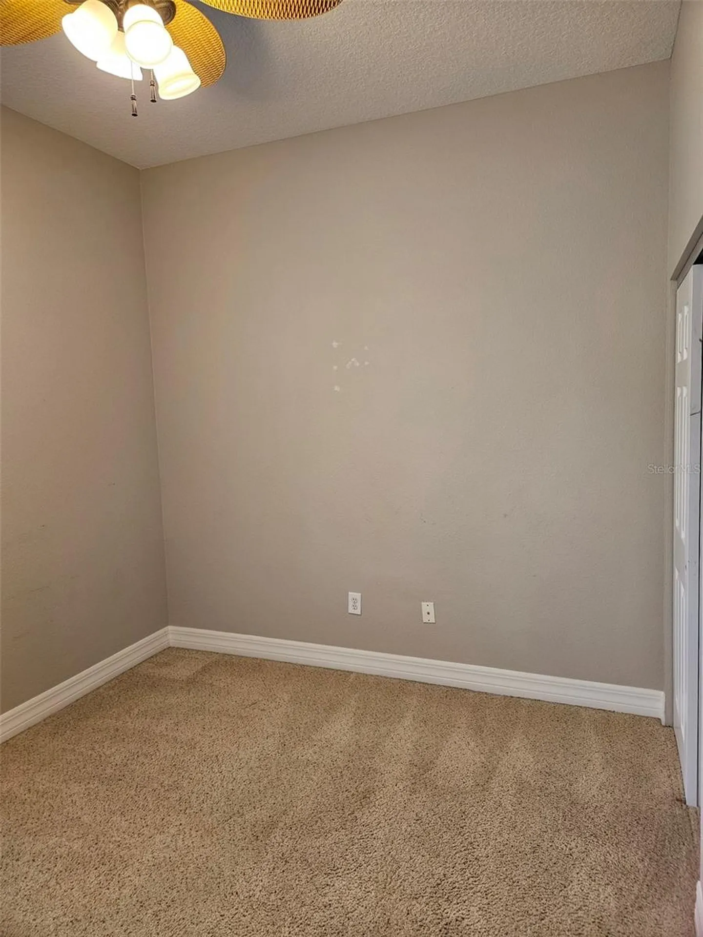 1005 Edison Park Court Tampa FL 33606