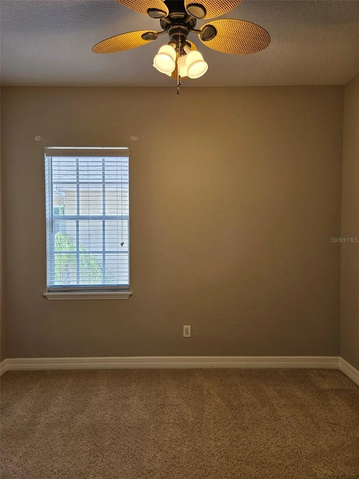 1005 Edison Park Court Tampa FL 33606