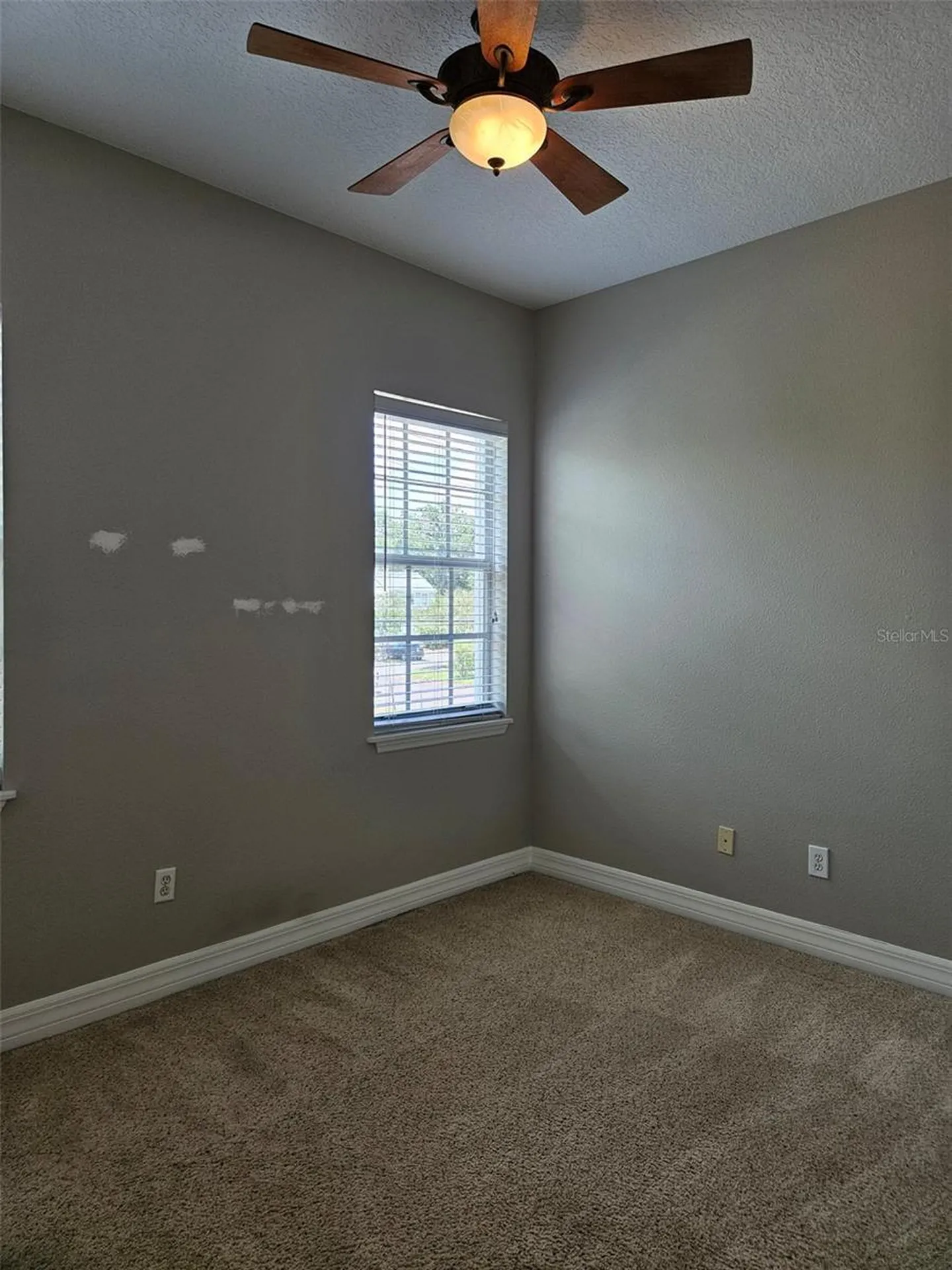 1005 Edison Park Court Tampa FL 33606