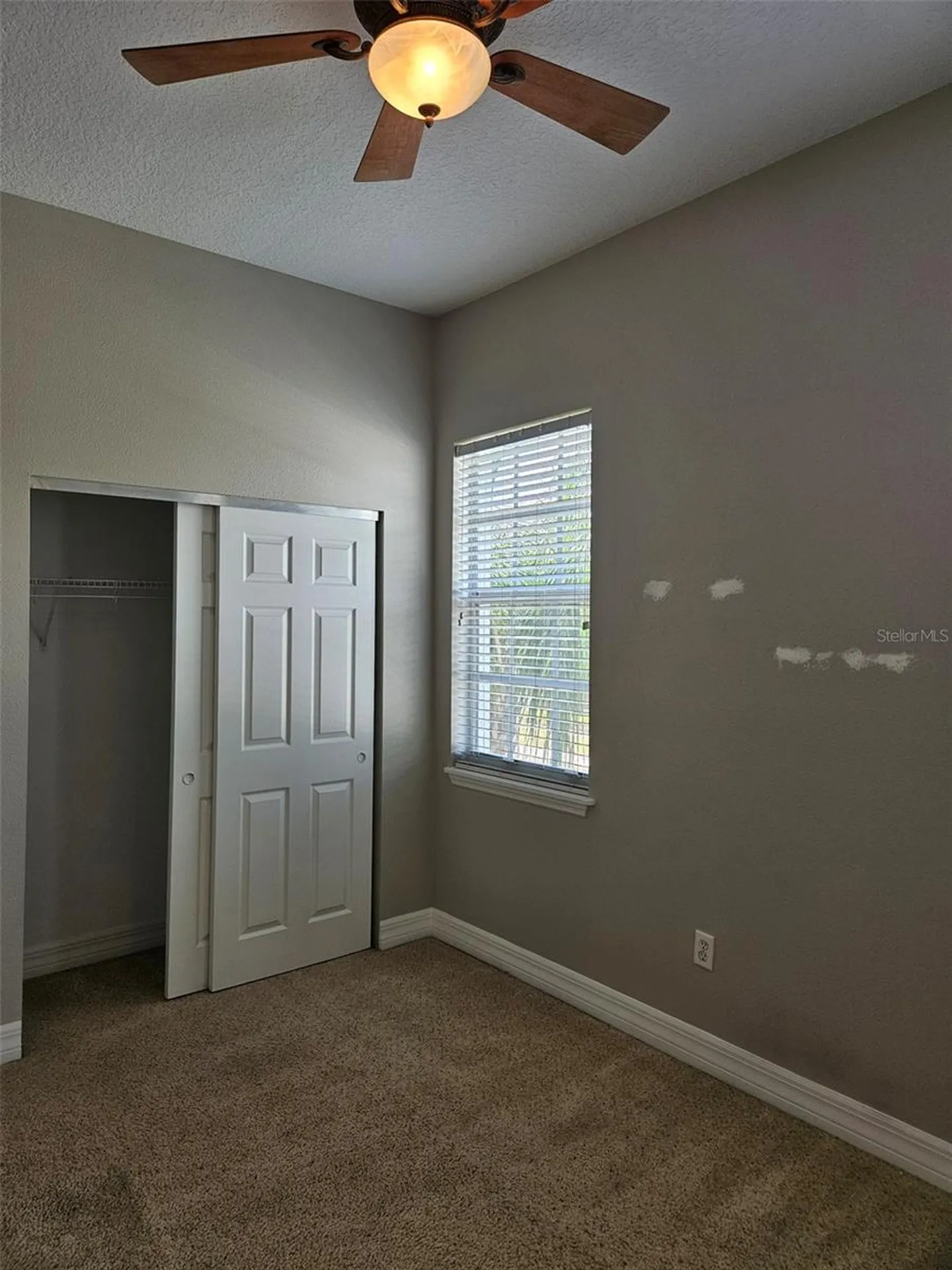 1005 Edison Park Court Tampa FL 33606
