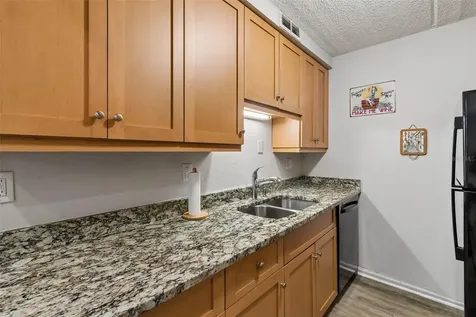3325 Bayshore Boulevard Tampa FL 33629