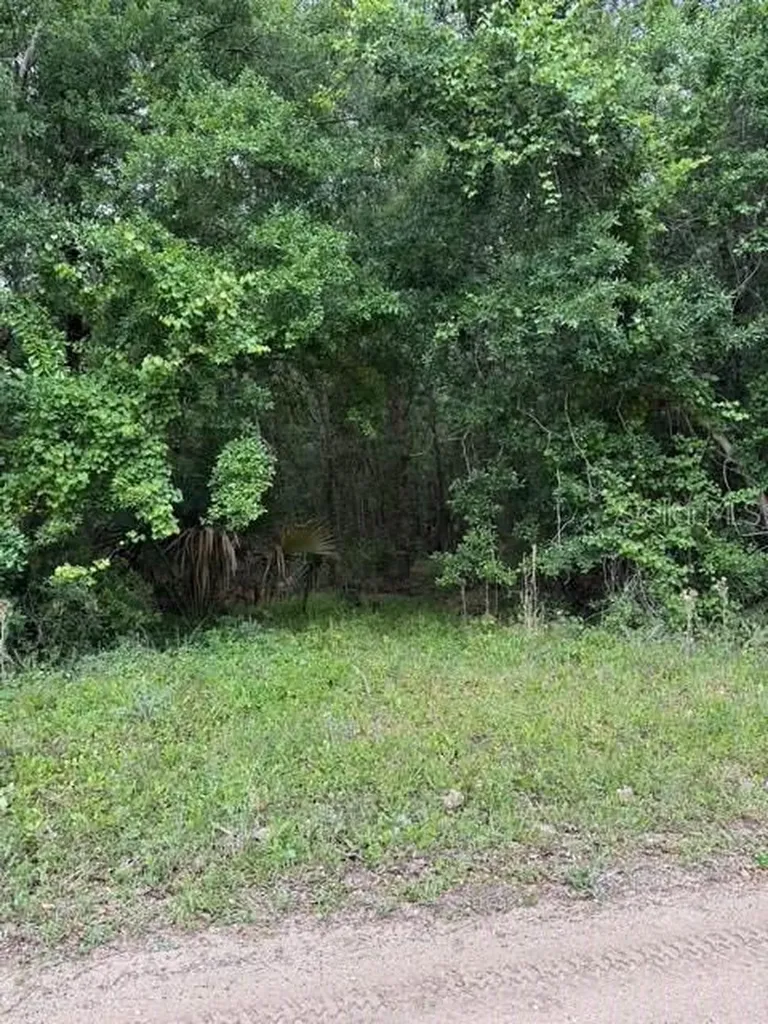 190 Catherine Street Bunnell FL 32110