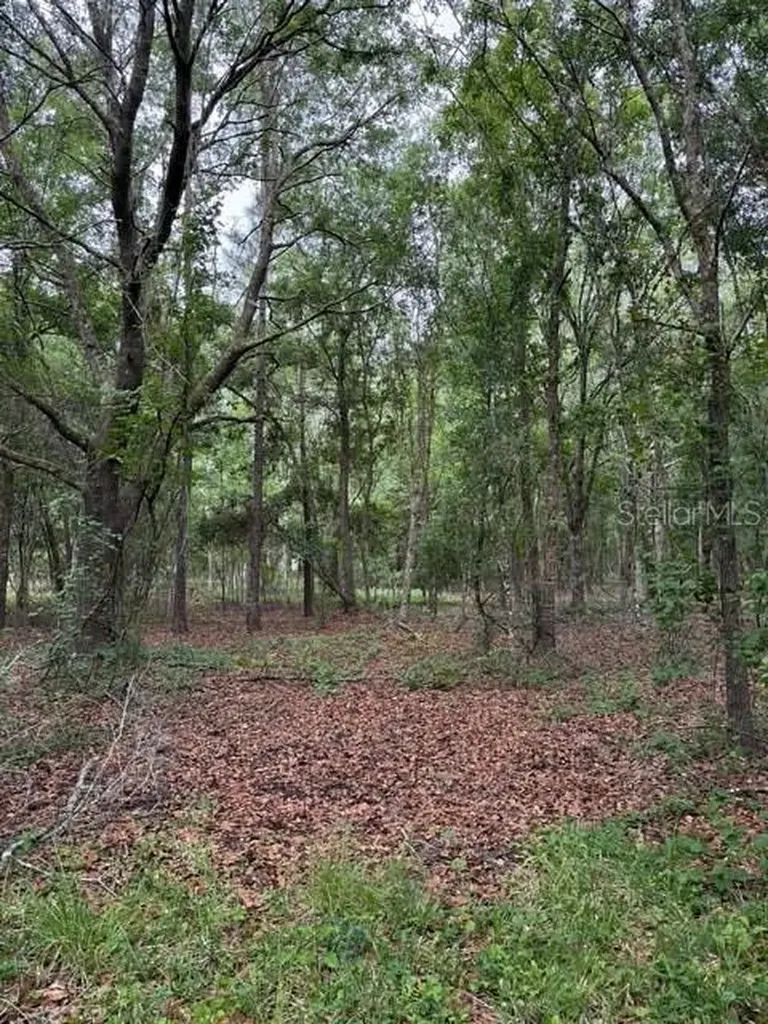 190 Catherine Street Bunnell FL 32110