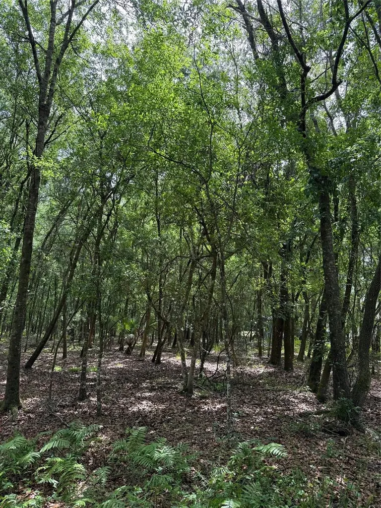 190 Catherine Street Bunnell FL 32110