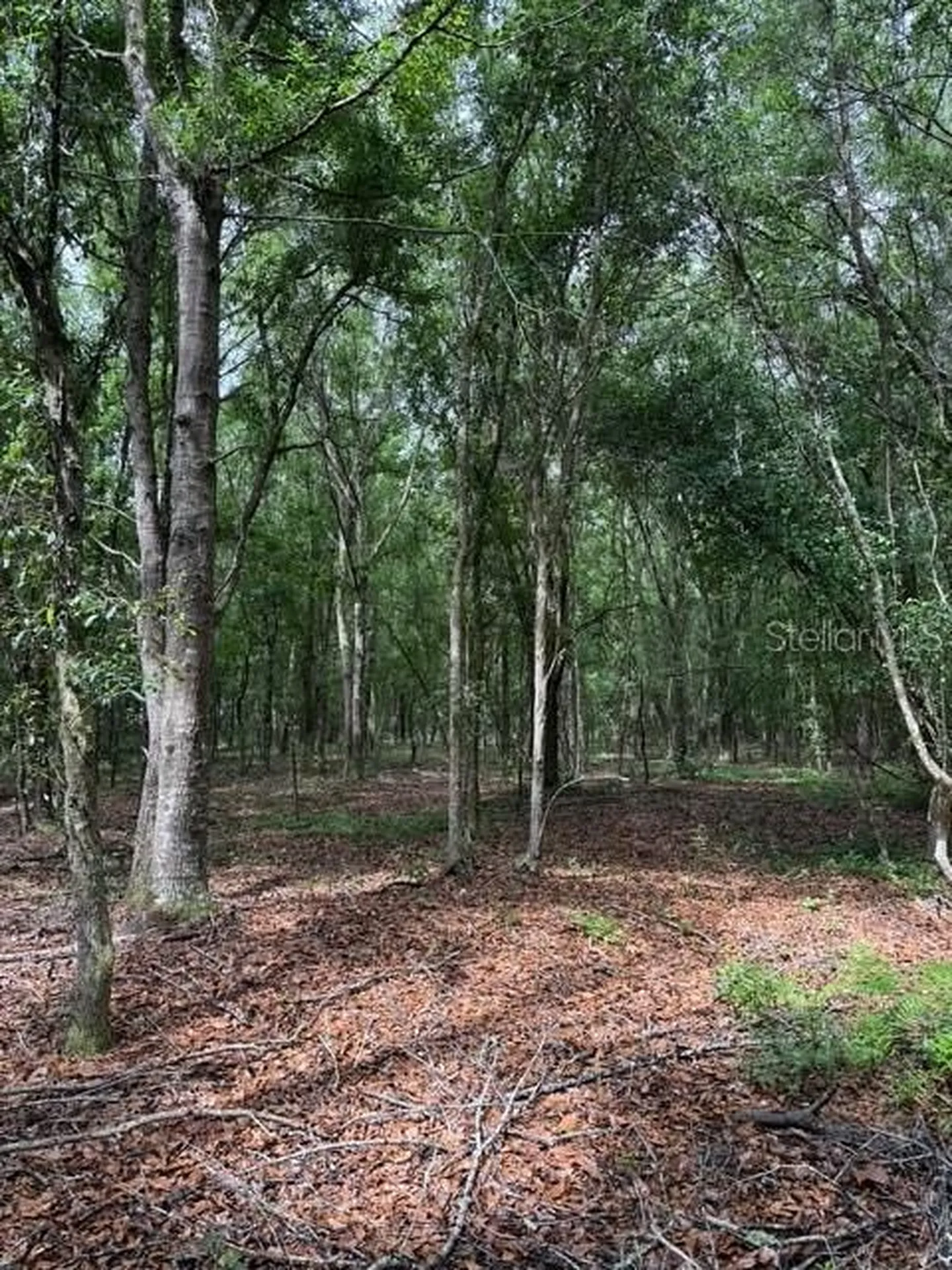 190 Catherine Street Bunnell FL 32110
