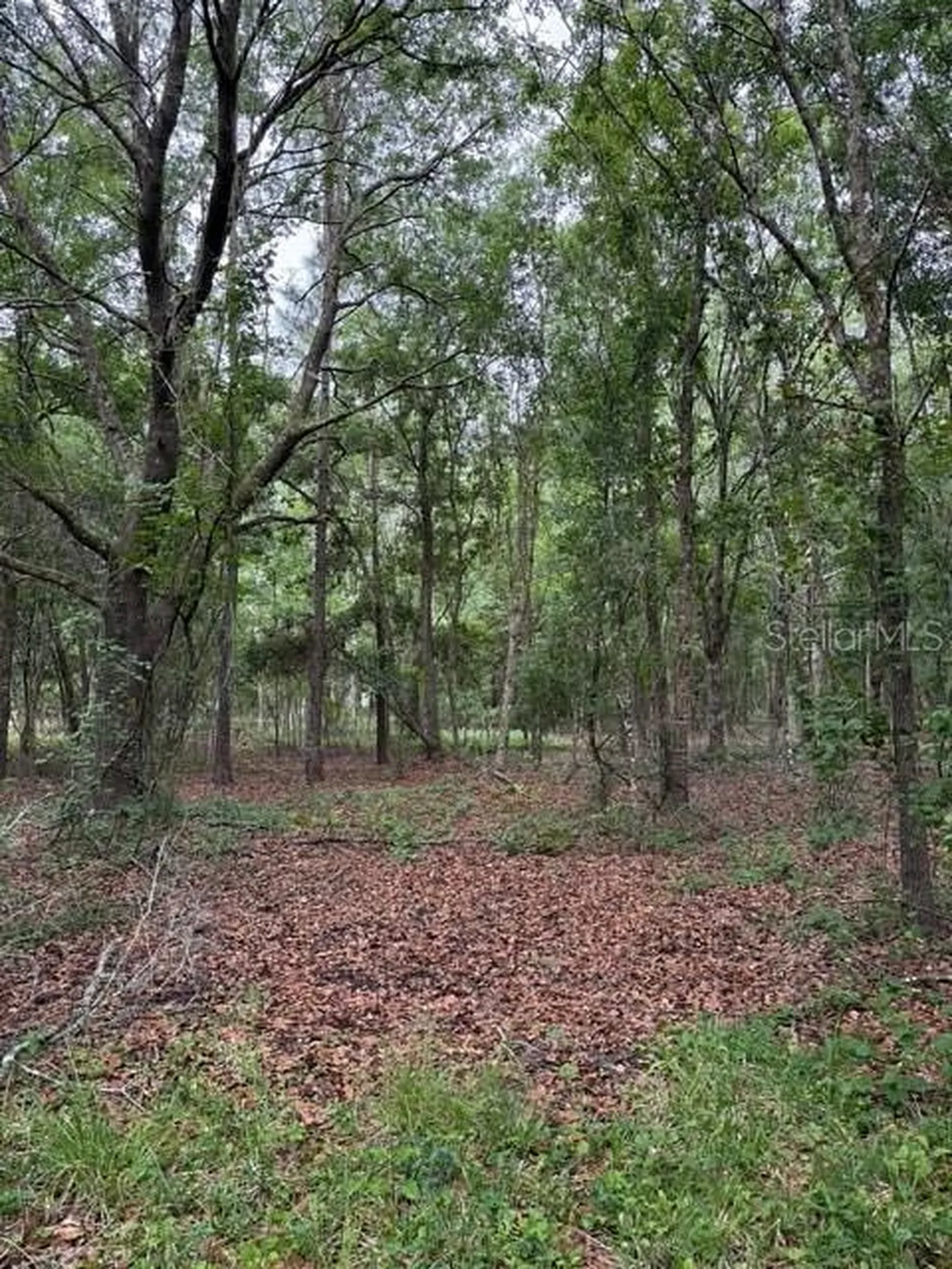 190 Catherine Street Bunnell FL 32110