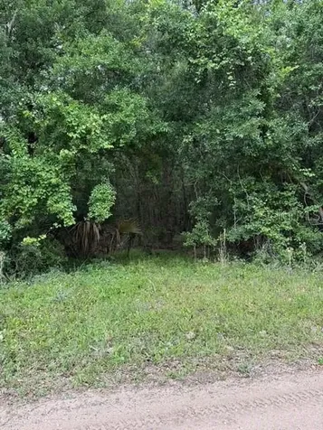 190 Catherine Street Bunnell FL 32110
