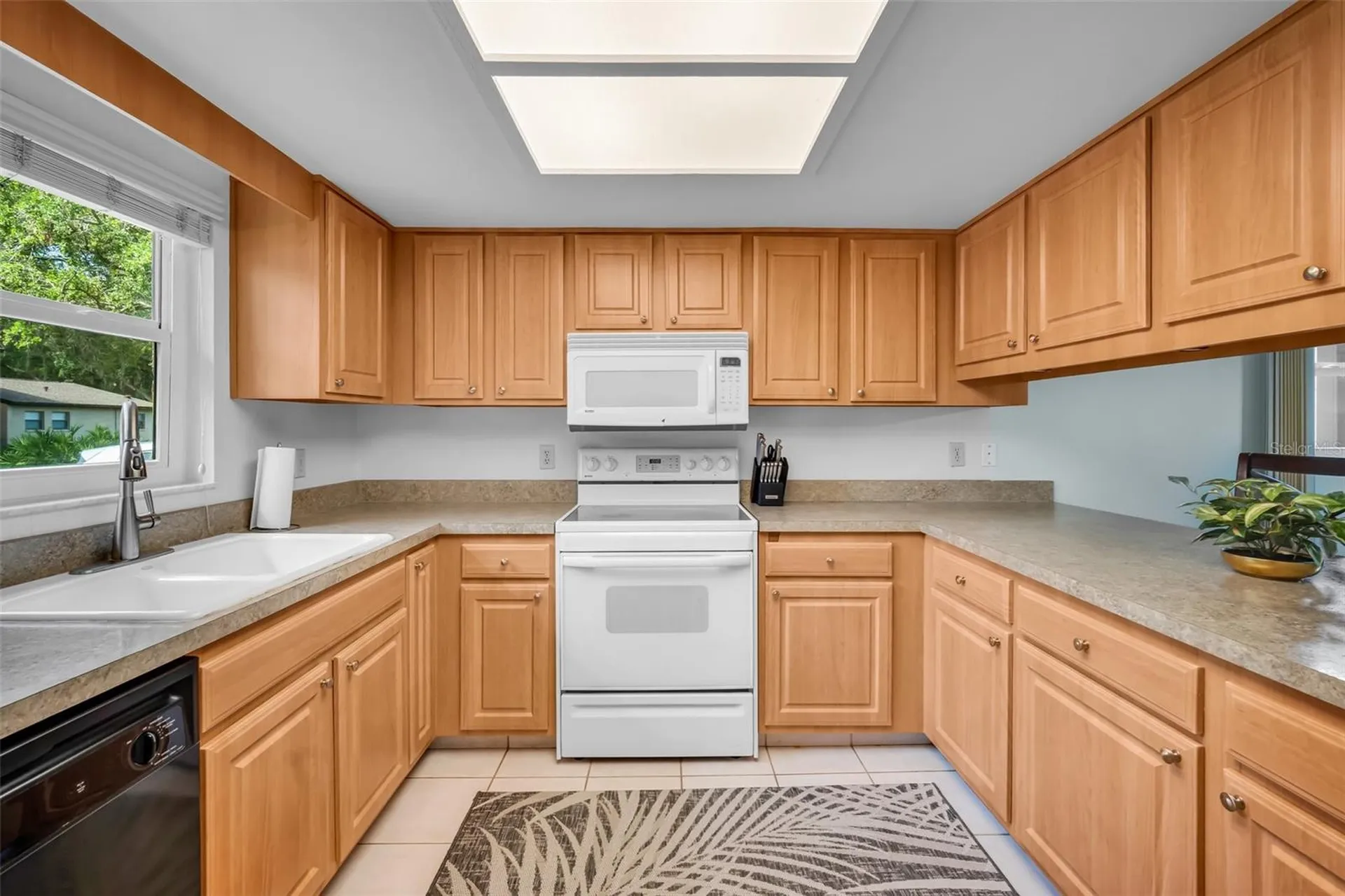 1400 Tarpon Woods Boulevard Palm Harbor FL 34685