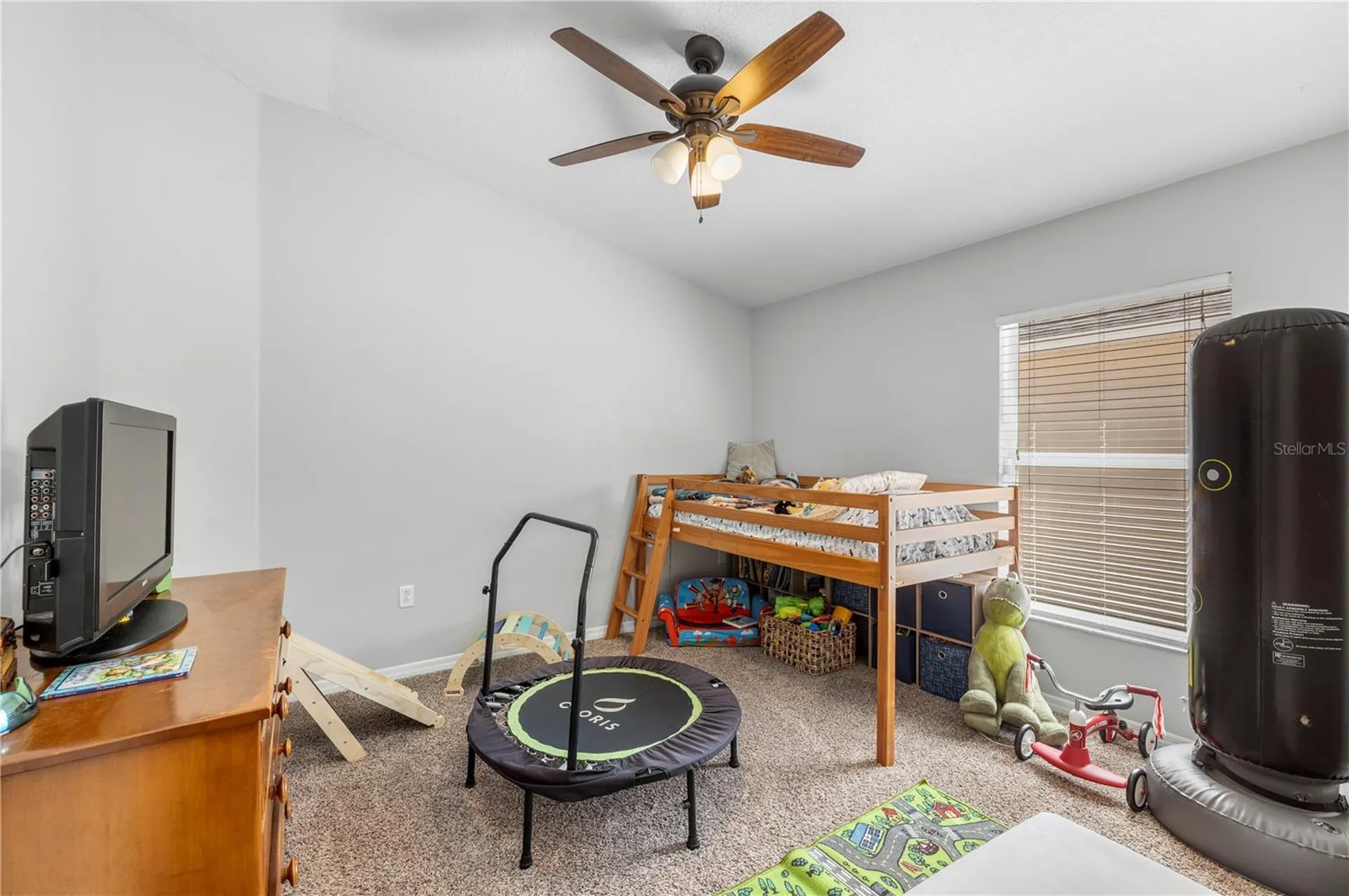 8020 Alamosa Wood Avenue Ruskin FL 33573