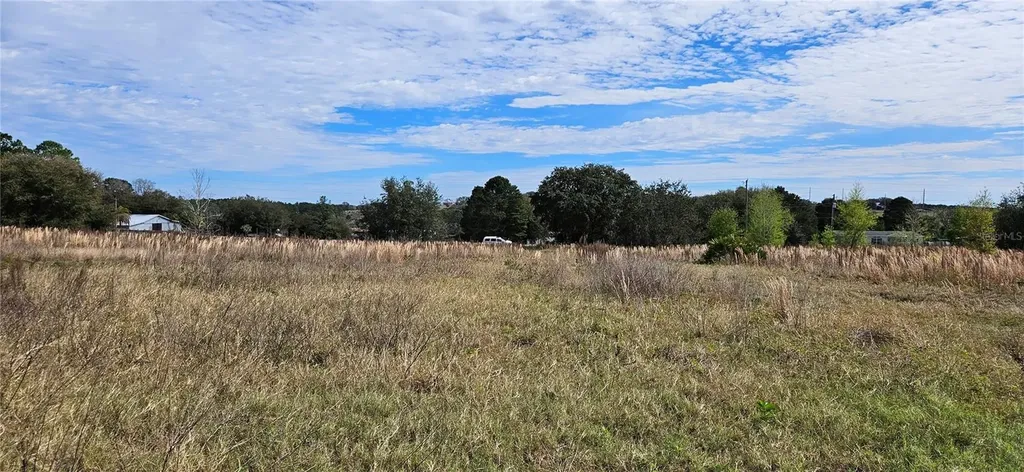 24207 Turkey Lake Road Howey In The Hills FL 34737