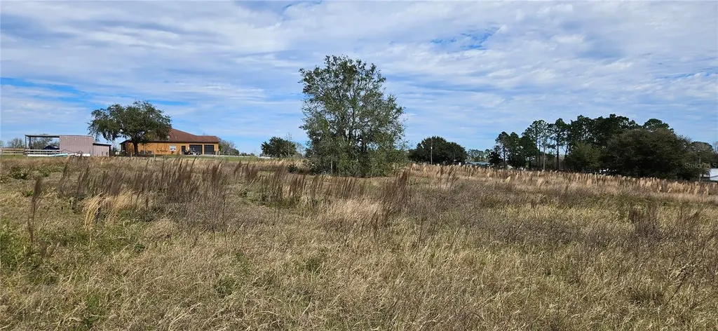 24207 Turkey Lake Road Howey In The Hills FL 34737