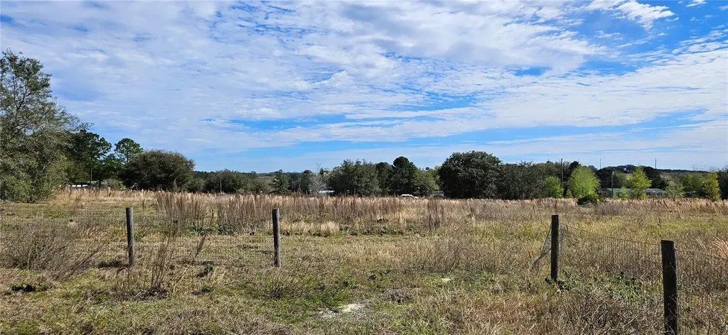 24207 Turkey Lake Road Howey In The Hills FL 34737