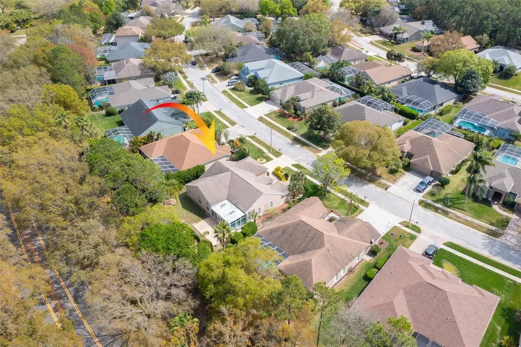3713 Siena Lane Palm Harbor FL 34685