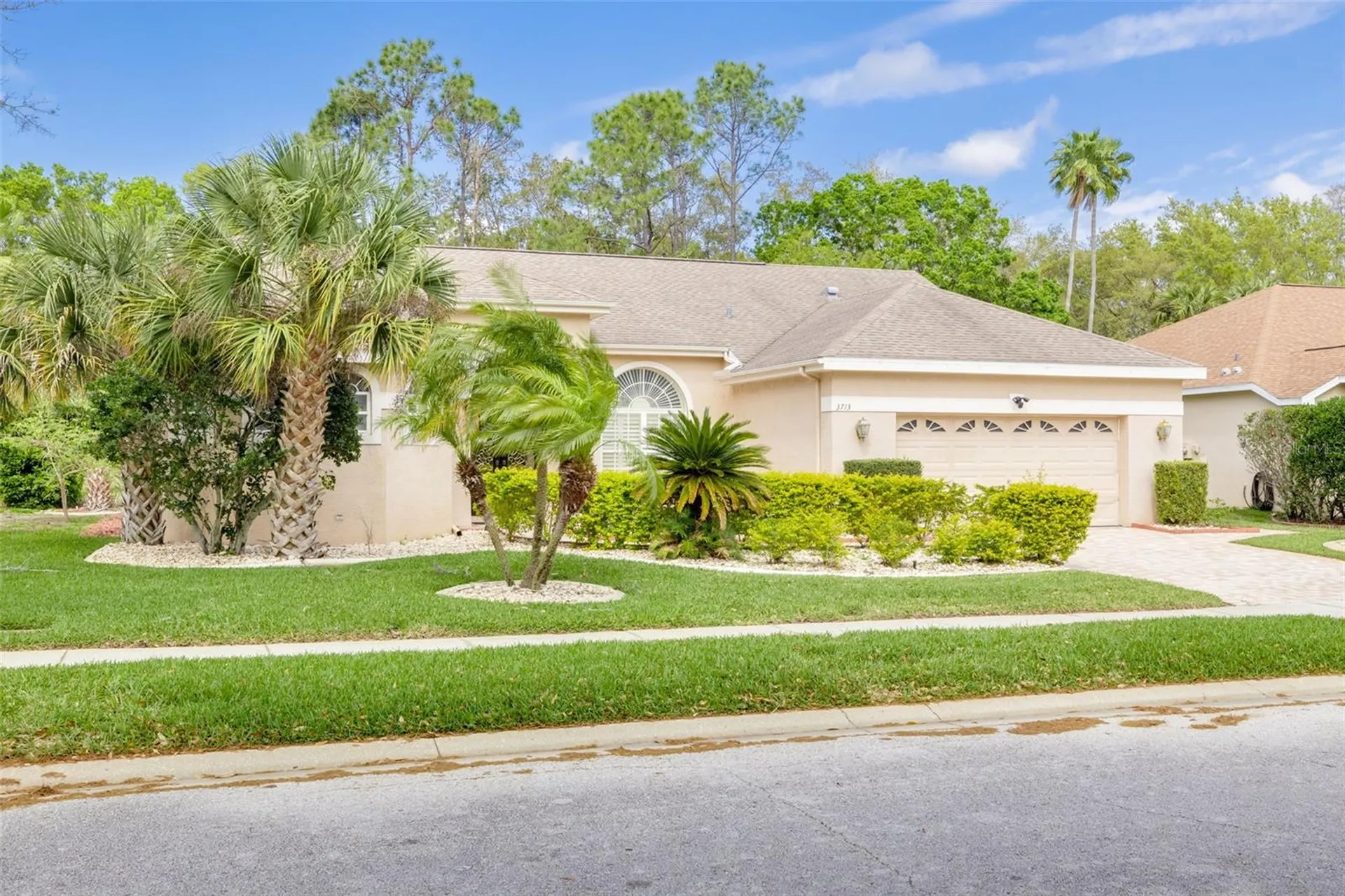 3713 Siena Lane Palm Harbor FL 34685