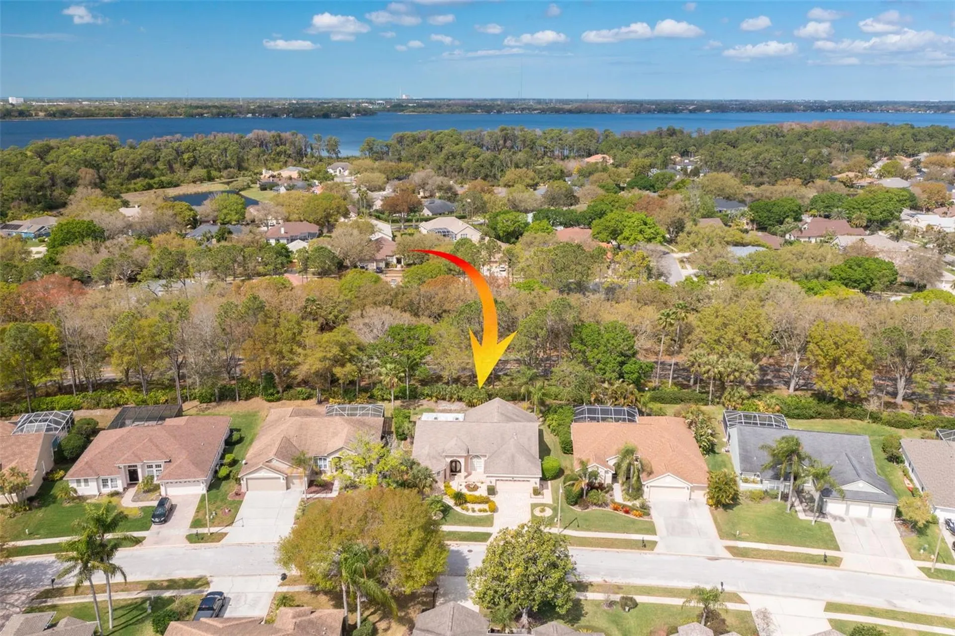 3713 Siena Lane Palm Harbor FL 34685