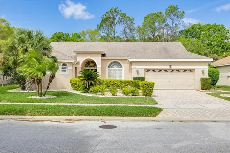 3713 Siena Lane Palm Harbor FL 34685