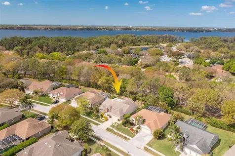 3713 Siena Lane Palm Harbor FL 34685