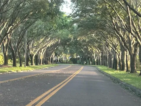 3713 Siena Lane Palm Harbor FL 34685