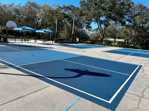 3713 Siena Lane Palm Harbor FL 34685