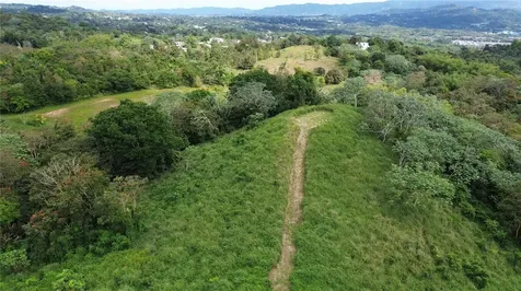 1 Camino El Cabrito Humacao PR 00791