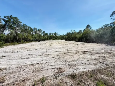SW 150th Street Dunnellon FL 34432