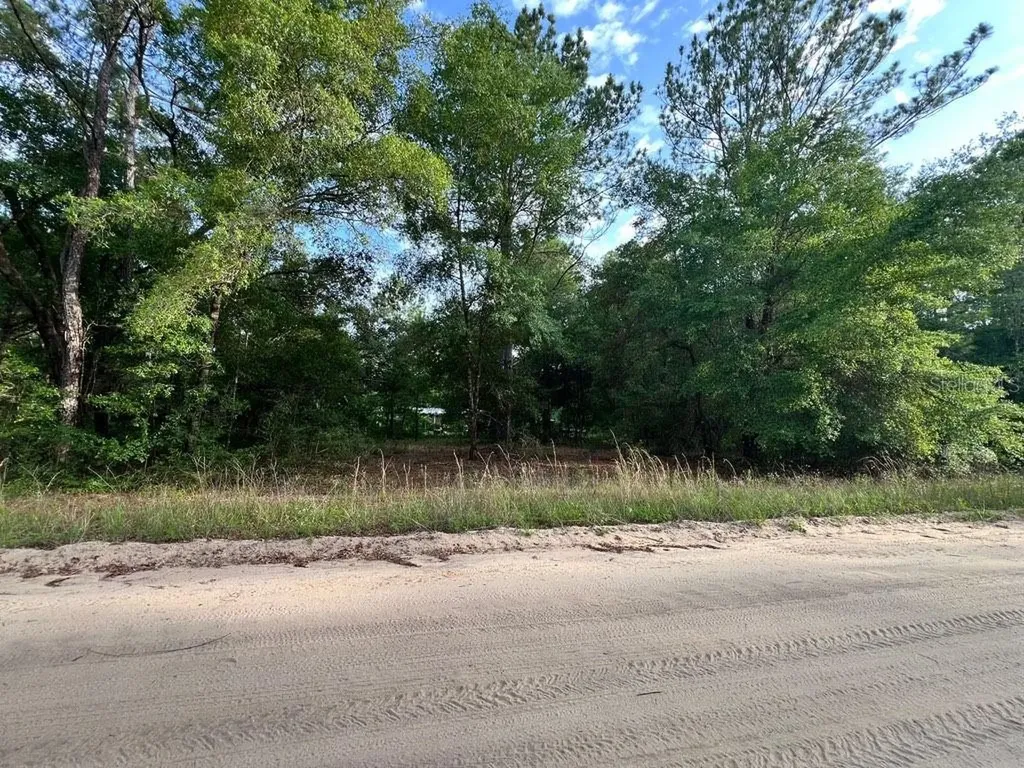 Decker Street Lot 12 13 Interlachen FL 32148