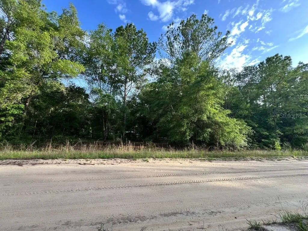 Decker Street Lot 12 13 Interlachen FL 32148