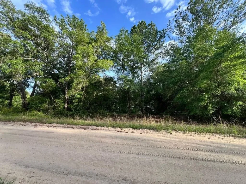Decker Street Lot 12 13 Interlachen FL 32148