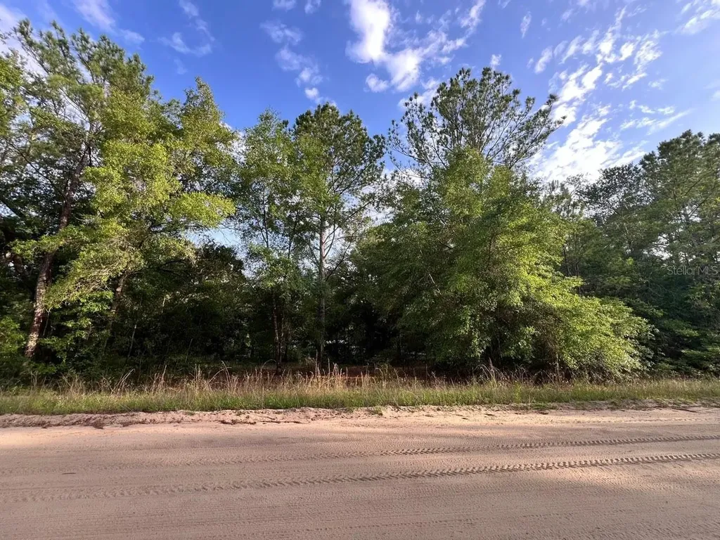 Decker Street Lot 12 13 Interlachen FL 32148