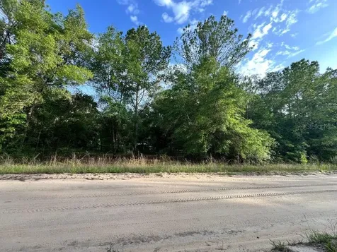 Decker Street Lot 12 13 Interlachen FL 32148