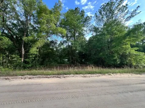 Decker Street Lot 12 13 Interlachen FL 32148