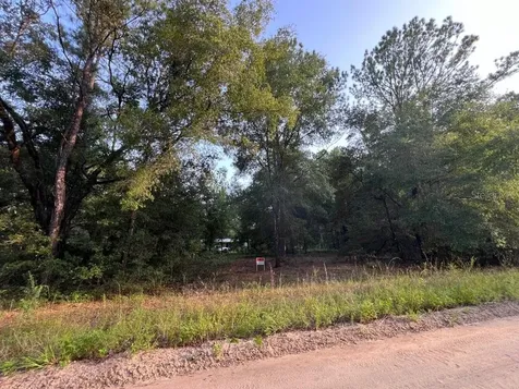 Decker Street Lot 12 13 Interlachen FL 32148